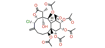 Gemmacolide A